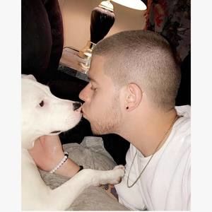 Meet your Posher, Joey